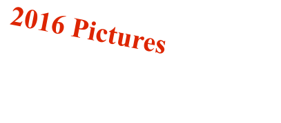 2016 Pictures